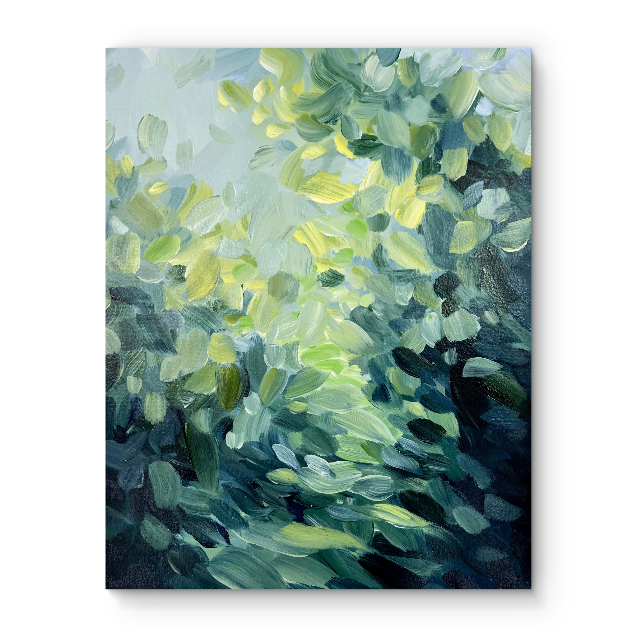 Light on the Path I