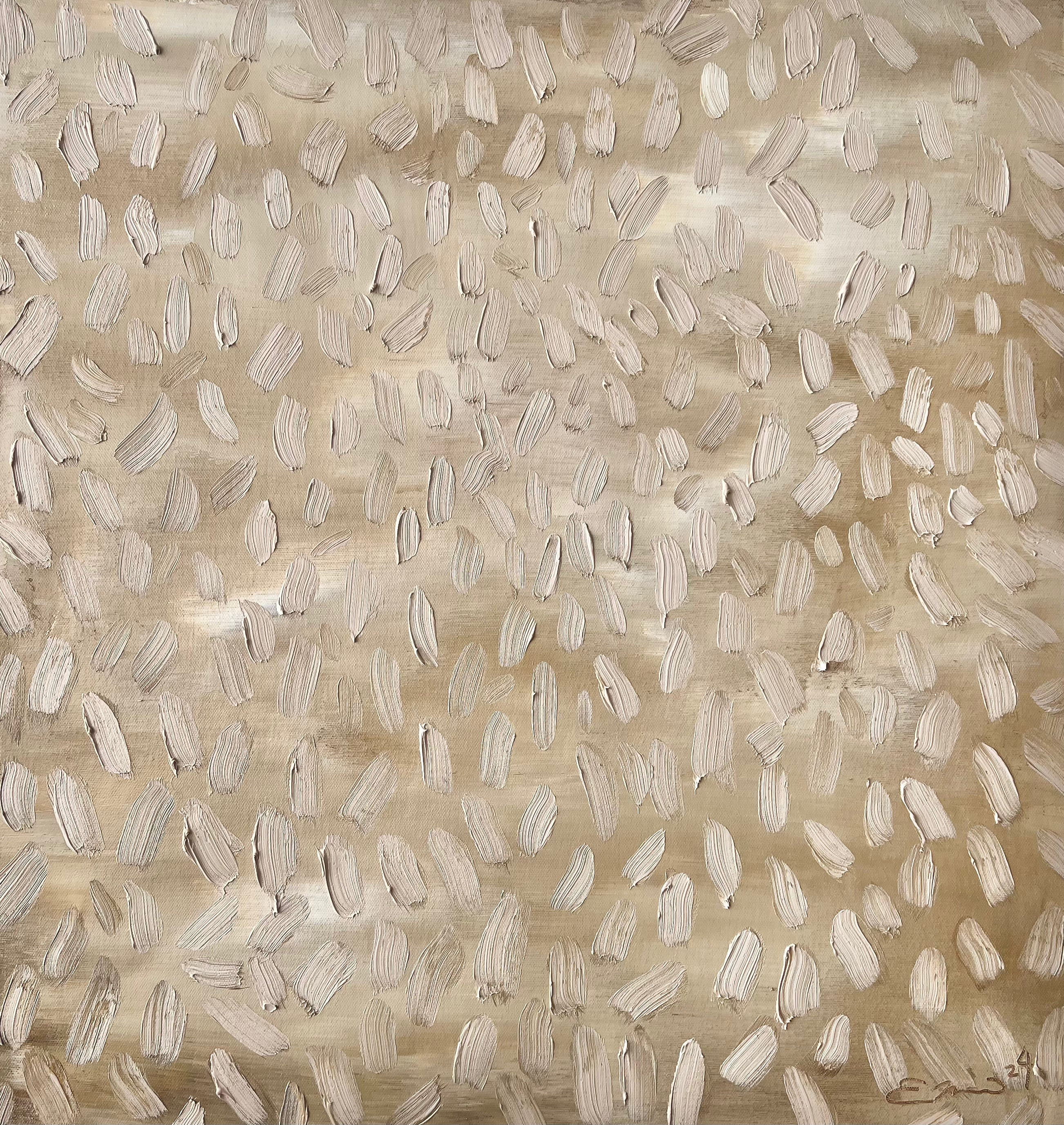Focus II